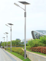SY-13801